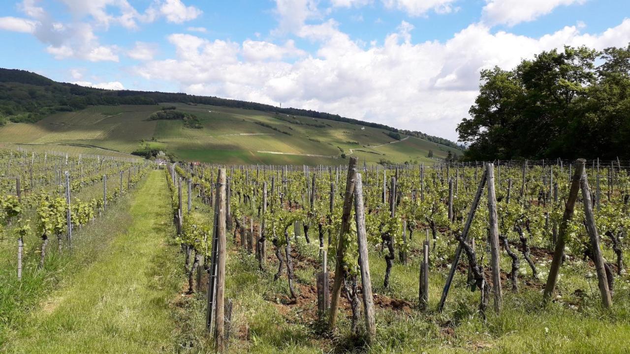 Villa/Appartement Au Coeur Des Vignes *** Barr Dış mekan fotoğraf